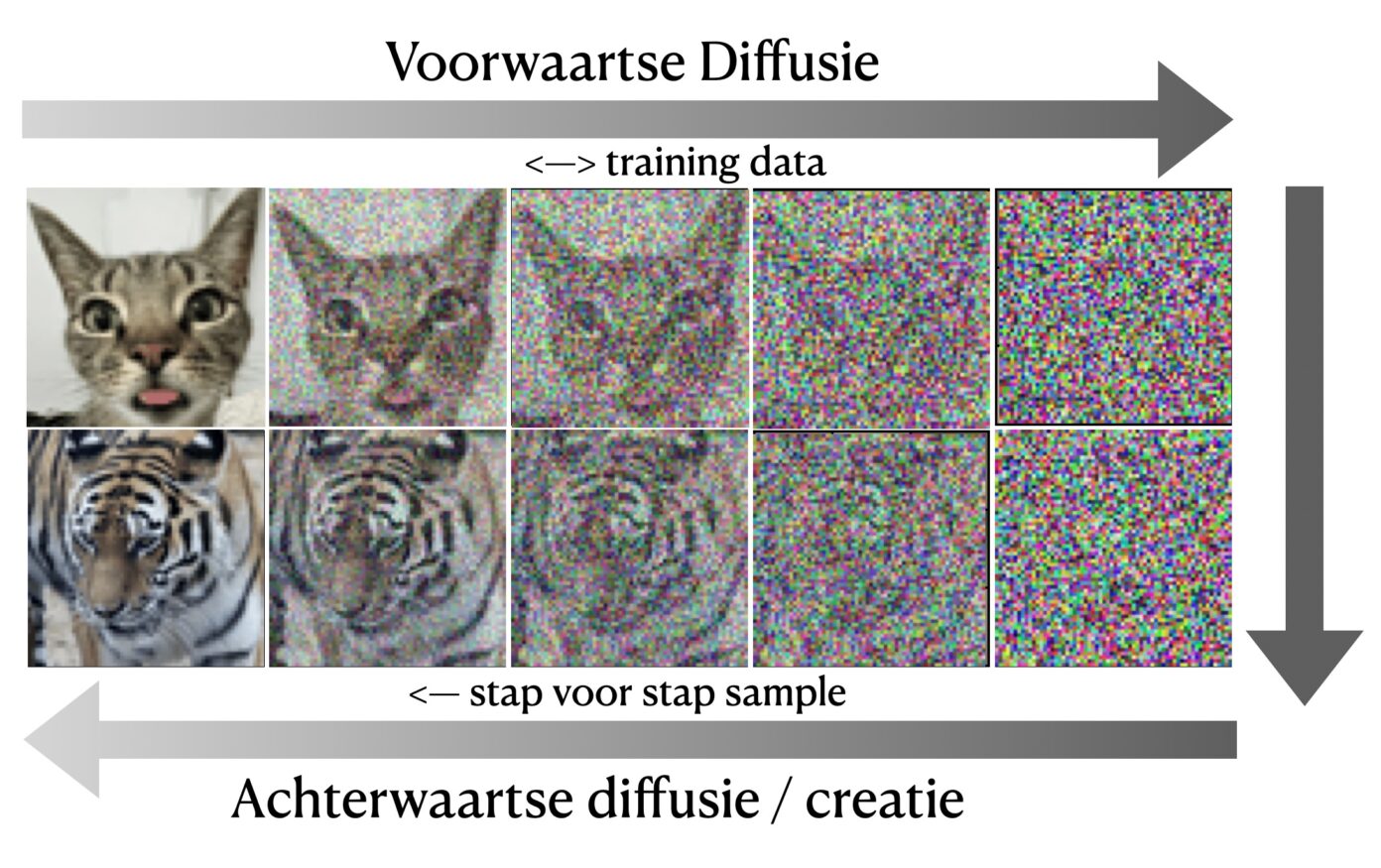 Diffusiemodellen